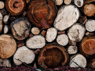 Verschillende houtsoorten